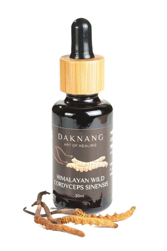 HIMALAYAN WILD CORDYCEPS SINENSIS