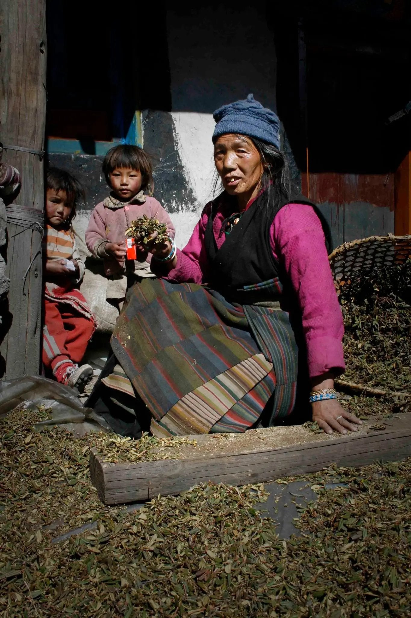 Lapchi Nesang Incense | 27 Sticks Daknang