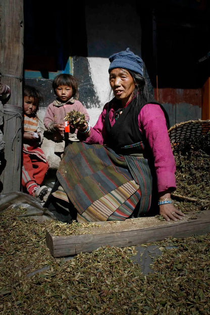 Lapchi Nesang Incense | 27 Sticks Daknang