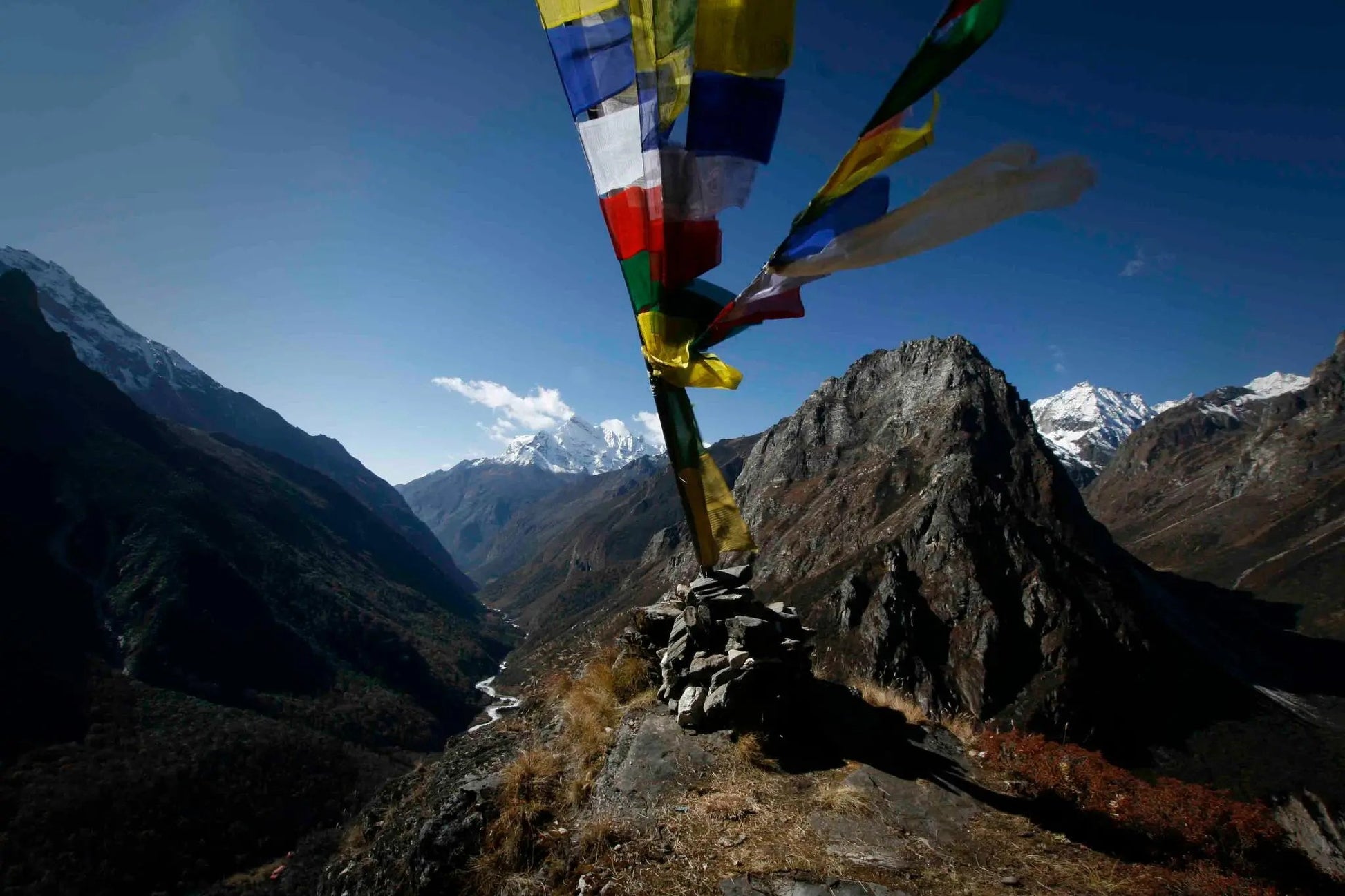 Lapchi Nesang Incense | 27 Sticks Daknang