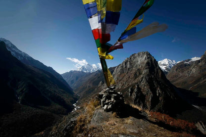 Lapchi Nesang Incense | 27 Sticks Daknang
