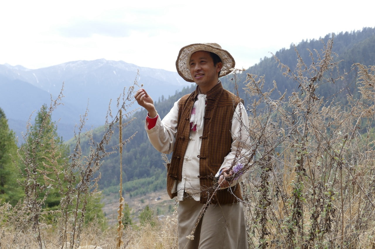 From Solukhumbu to Your Bottle: The Journey of Cordyceps