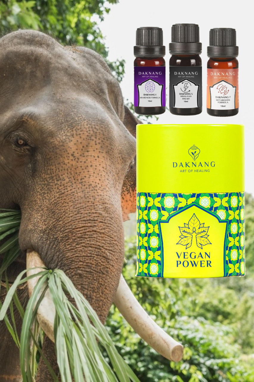 VEGAN POWER • HEALTIER LIFESTYLE Daknang