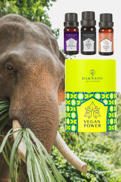 VEGAN POWER • HEALTIER LIFESTYLE Daknang
